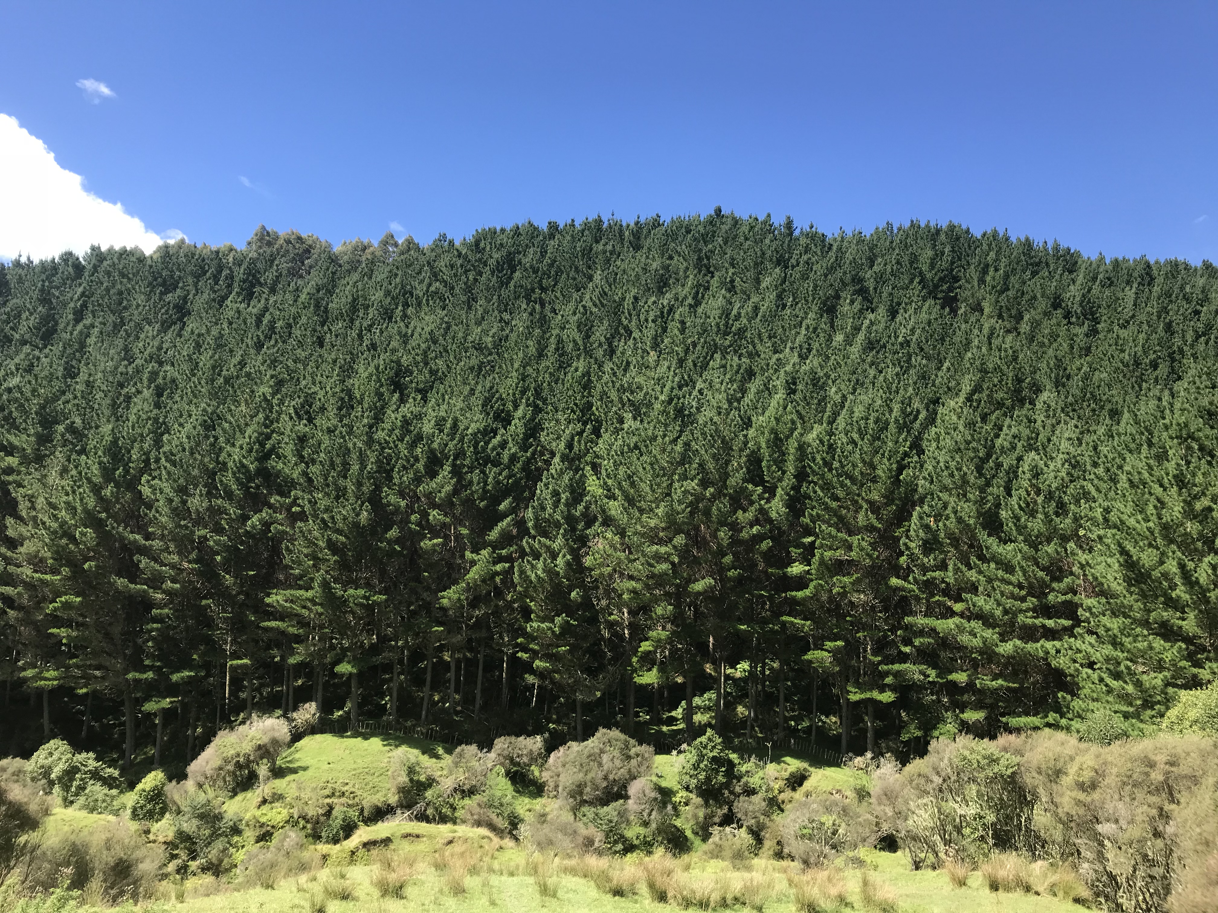 Arapito Partnership 11