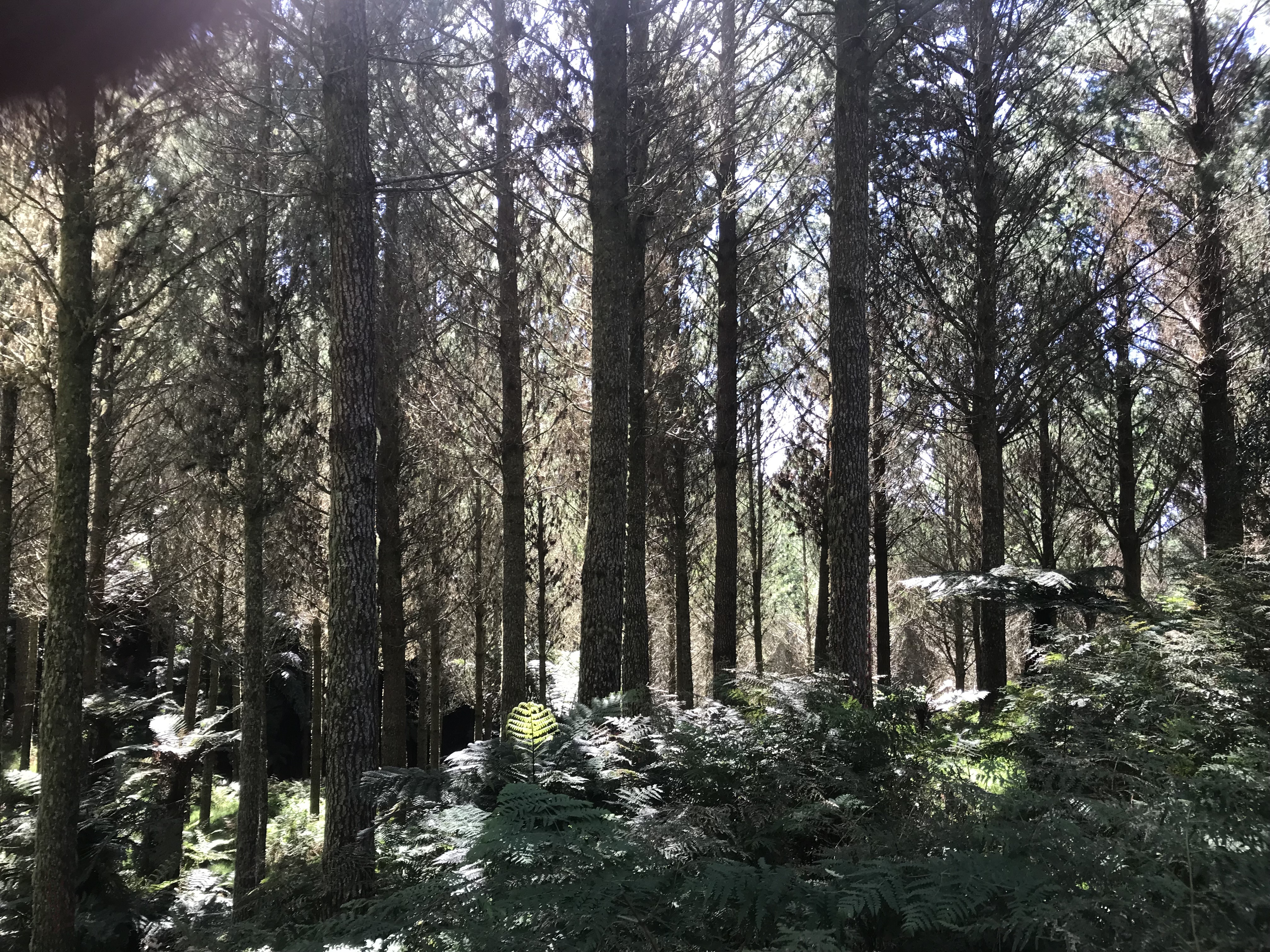 Boltaway Partnership