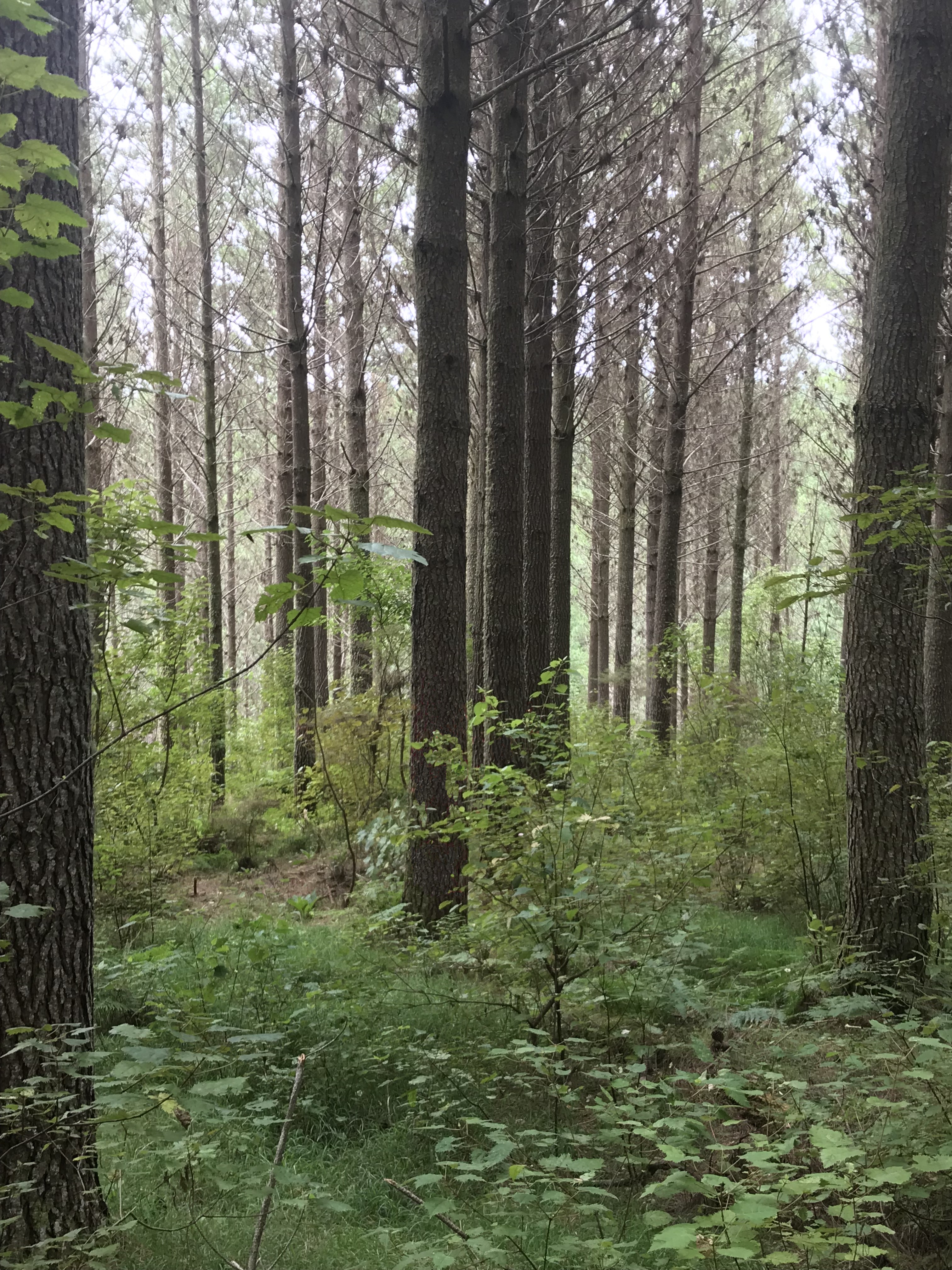 Coach Road Partnership