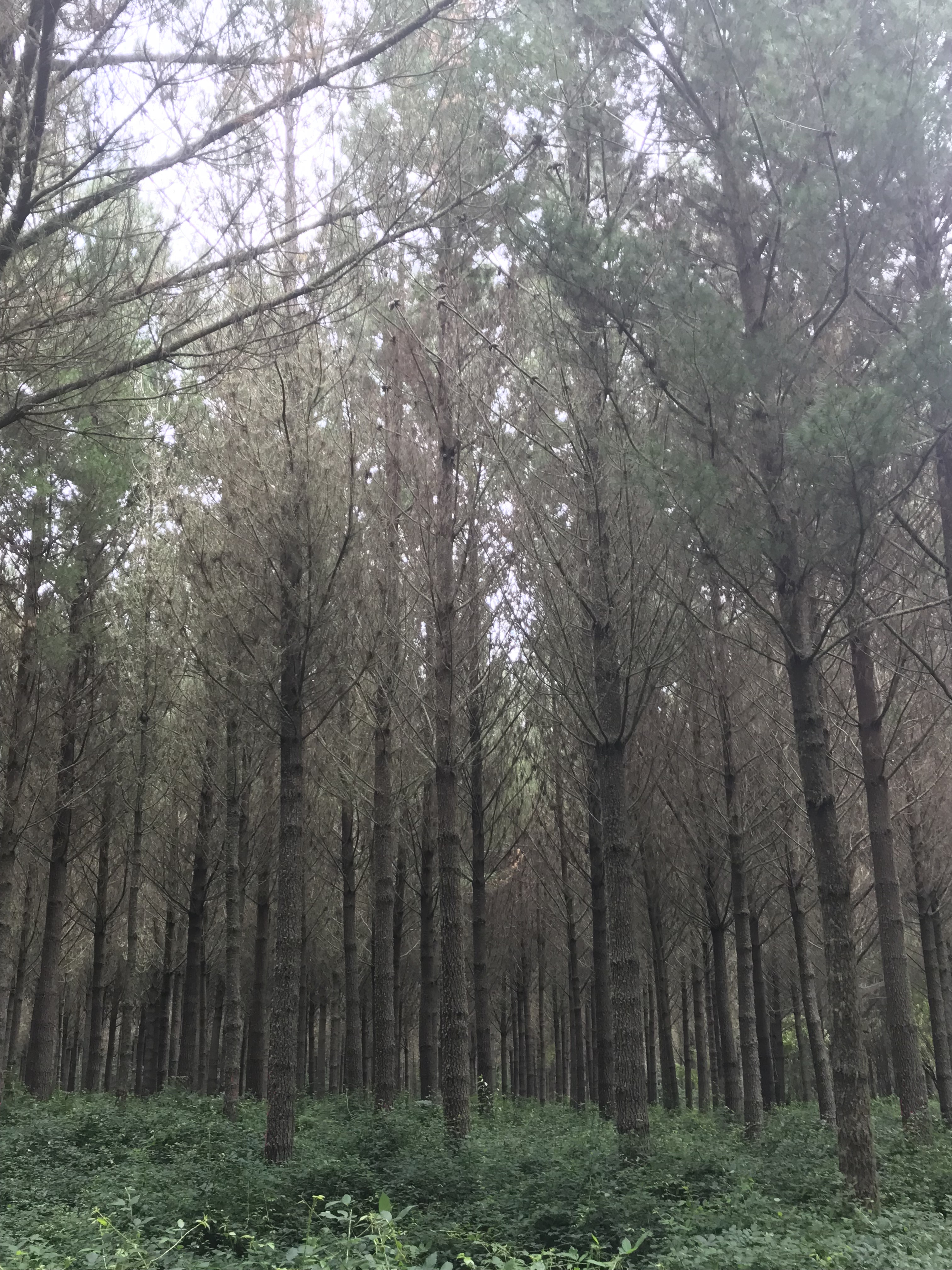 Hidden Valley Partnership