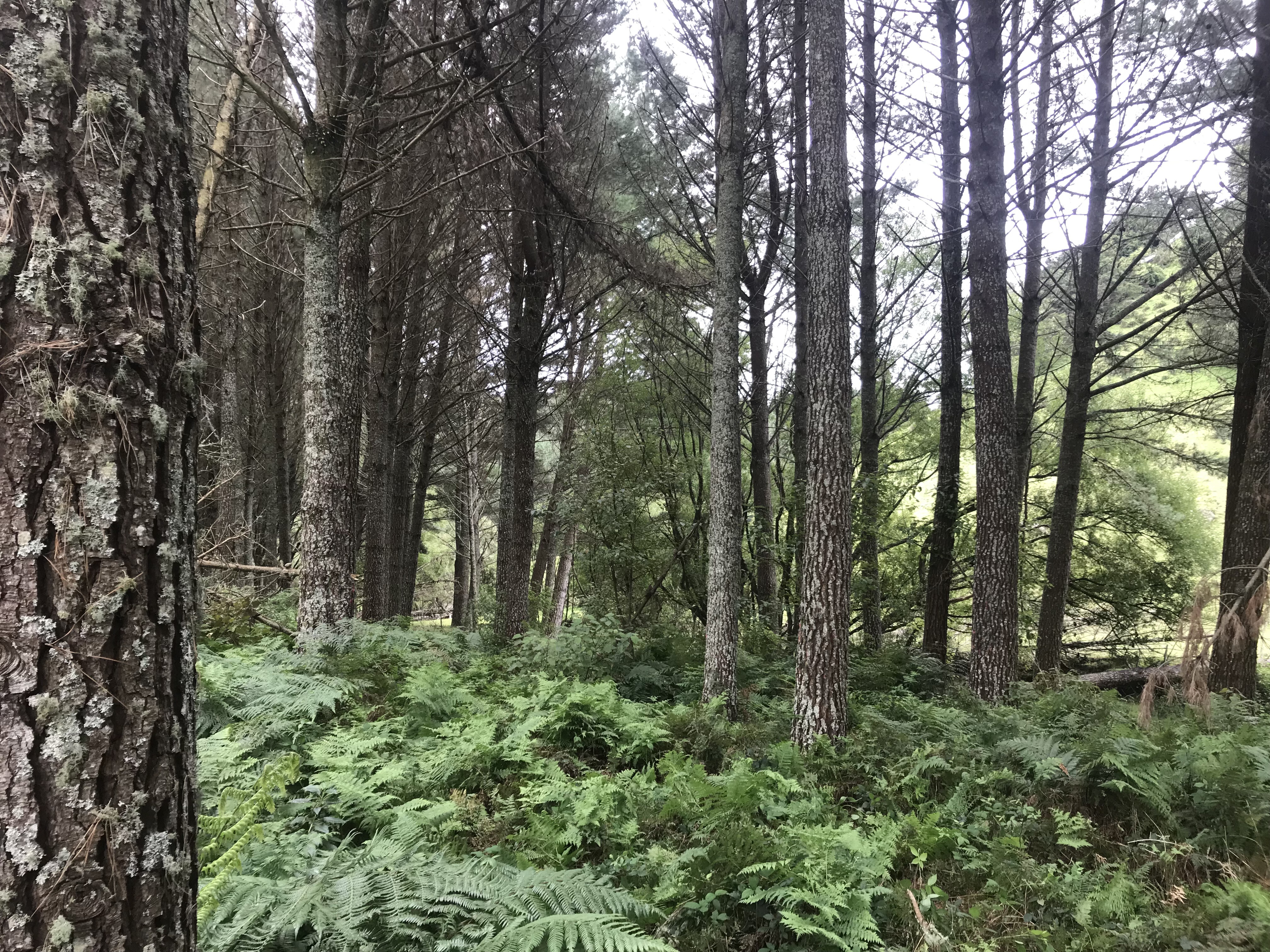 Tin Whare Partnership