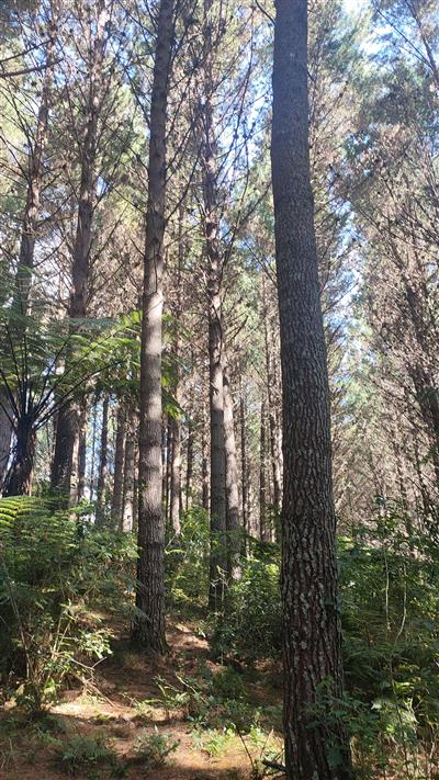 Touchwood Partnership