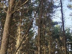 2022 - Barkers 18.jpg (1)